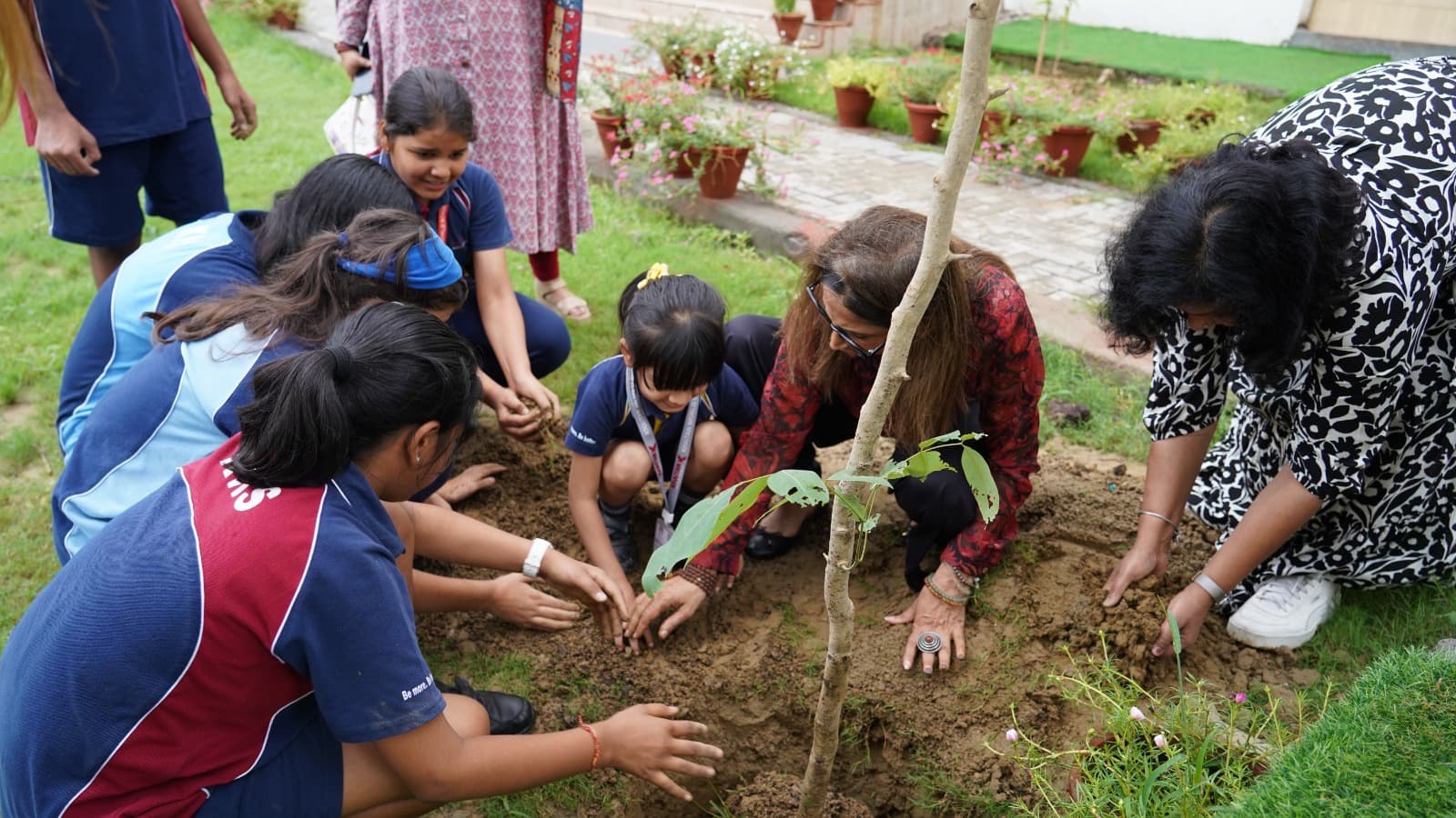 Planting a sapling in a village school yard.